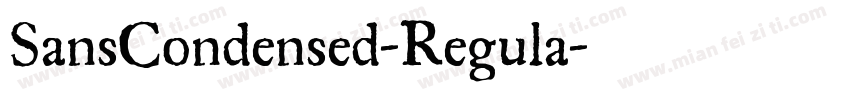 SansCondensed-Regula字体转换