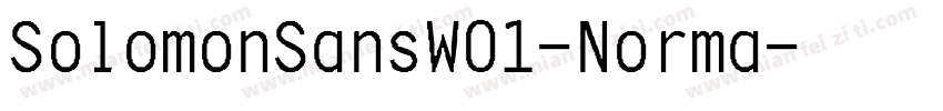 SolomonSansW01-Norma字体转换