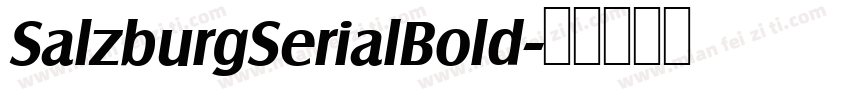 SalzburgSerialBold字体转换