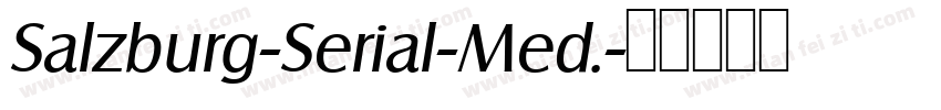 Salzburg-Serial-Med.字体转换