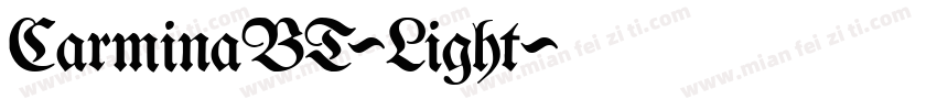 CarminaBT-Light字体转换