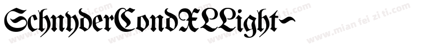 SchnyderCondXLLight字体转换