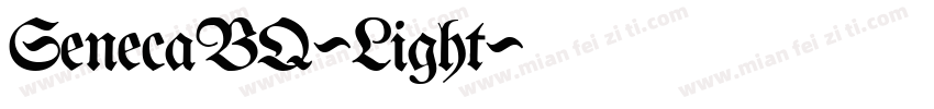 SenecaBQ-Light字体转换