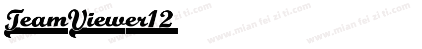 TeamViewer12字体转换