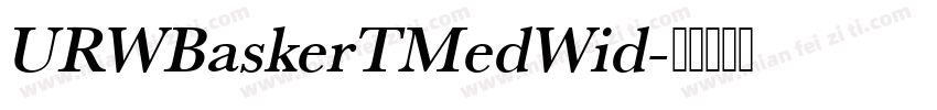 URWBaskerTMedWid字体转换