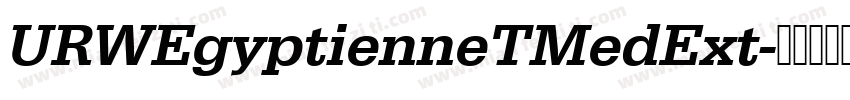 URWEgyptienneTMedExt字体转换