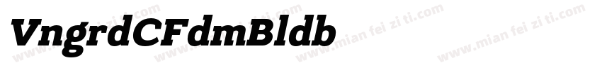 VanguardCFdemiBoldOb字体转换