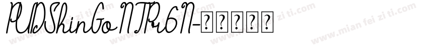 PUDShinGoNTPr6N字体转换
