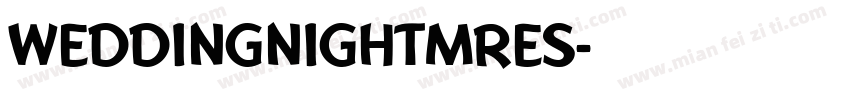 WEDDINGNIGHTMRES字体转换