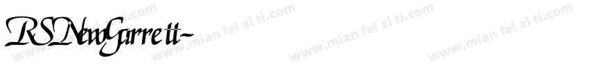 RSNewGarrett字体转换