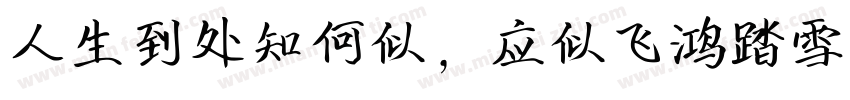 人生到处知何似，应似飞鸿踏雪泥。字体转换