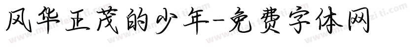 风华正茂的少年字体转换
