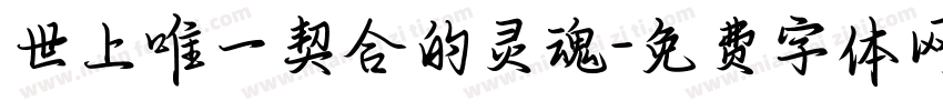 世上唯一契合的灵魂字体转换
