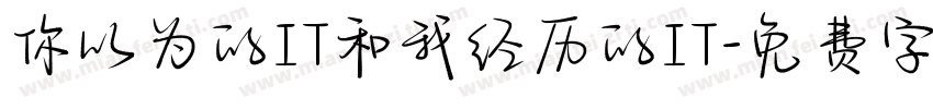你以为的IT和我经历的IT字体转换