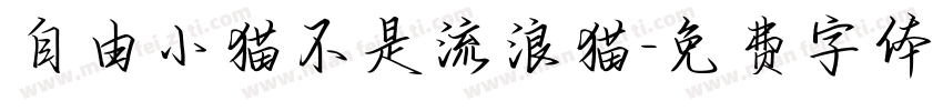 自由小猫不是流浪猫字体转换