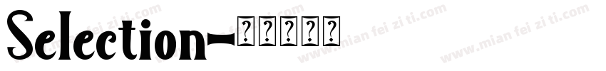 Selection字体转换