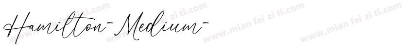 Hamilton-Medium字体转换