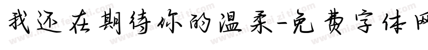 我还在期待你的温柔字体转换