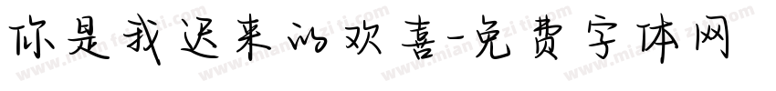 你是我迟来的欢喜字体转换