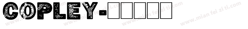 COPLEY字体转换