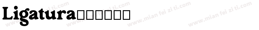 Ligatura字体转换