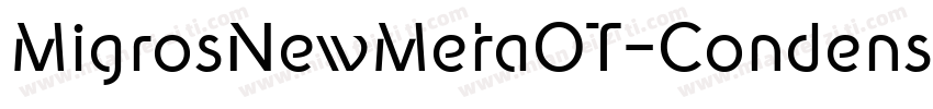 MigrosNewMetaOT-CondensedBook字体转换