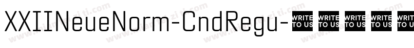 XXIINeueNorm-CndRegu字体转换