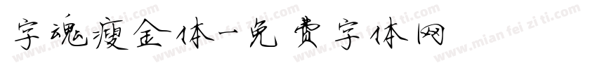 字魂瘦金体字体转换