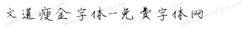 文道瘦金字体字体转换