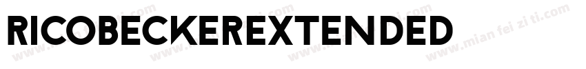 RicoBeckerExtended字体转换