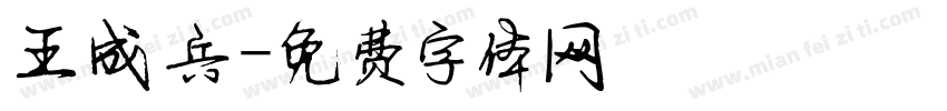 王成兵字体转换