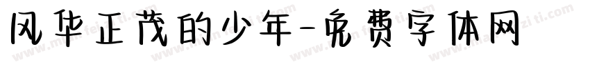 风华正茂的少年字体转换