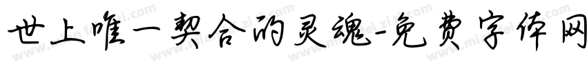世上唯一契合的灵魂字体转换