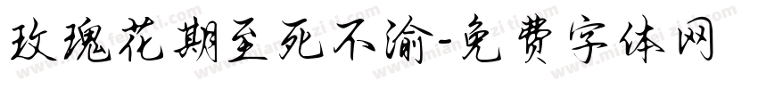 玫瑰花期至死不渝字体转换