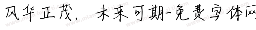 风华正茂，未来可期字体转换