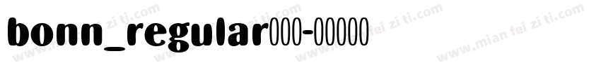 bonn_regular生成器字体转换