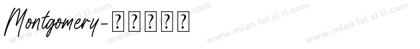Montgomery字体转换
