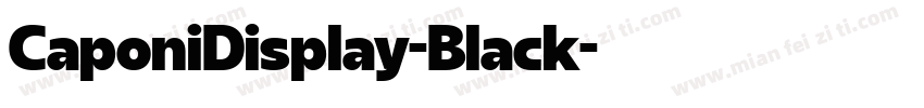 CaponiDisplay-Black字体转换
