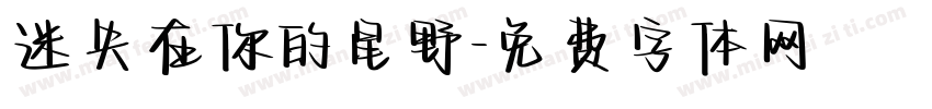 迷失在你的星野字体转换