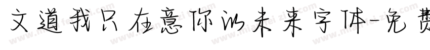 文道我只在意你的未来字体字体转换