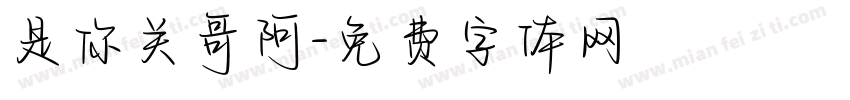 是你关哥阿字体转换