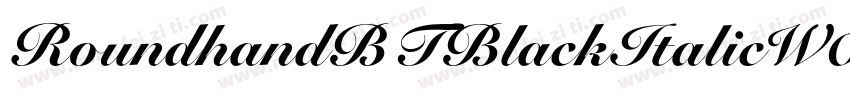 RoundhandBTBlackItalicW08字体转换