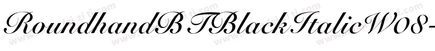 RoundhandBTBlackItalicW08字体转换