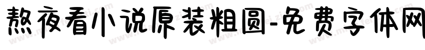 熬夜看小说原装粗圆字体转换