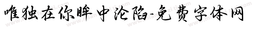 唯独在你眸中沦陷字体转换