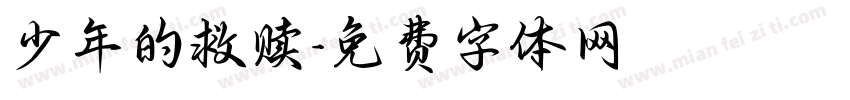 少年的救赎字体转换