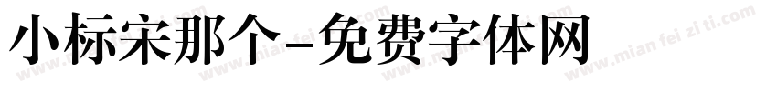 小标宋那个字体转换