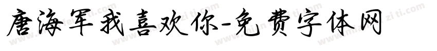 唐海军我喜欢你字体转换