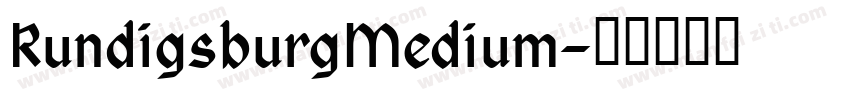 RundigsburgMedium字体转换