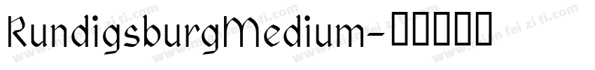 RundigsburgMedium字体转换